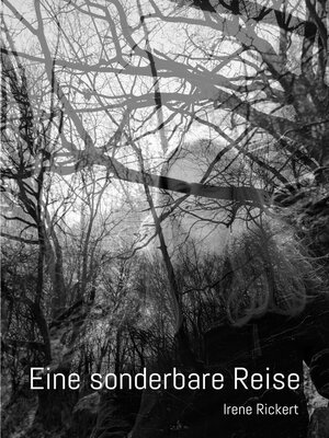 cover image of Eine sonderbare Reise